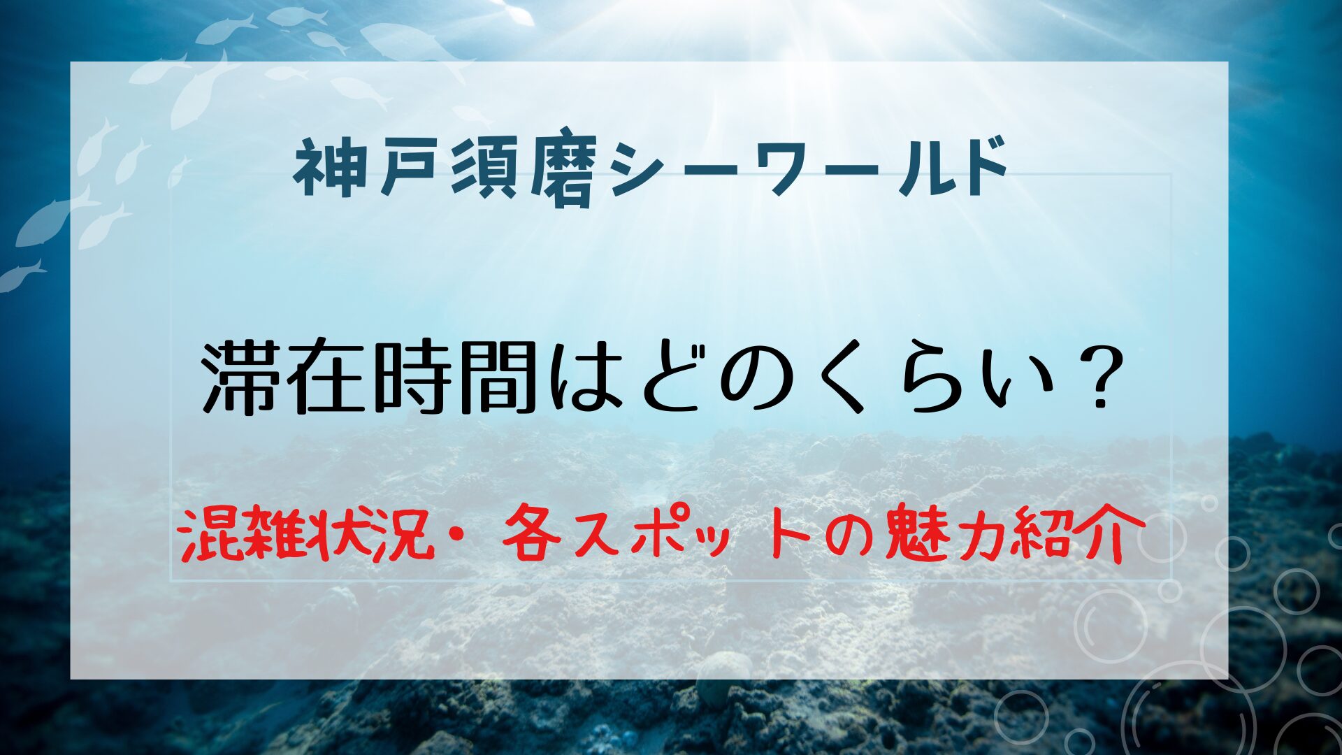 須磨シーワールドの滞在時間はどのくらい？混雑状況や各スポットの魅力を紹介